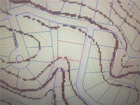 Bella Vista Land Opportunity