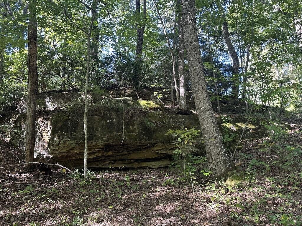 Picture 25
