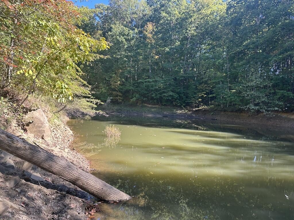 Picture 45