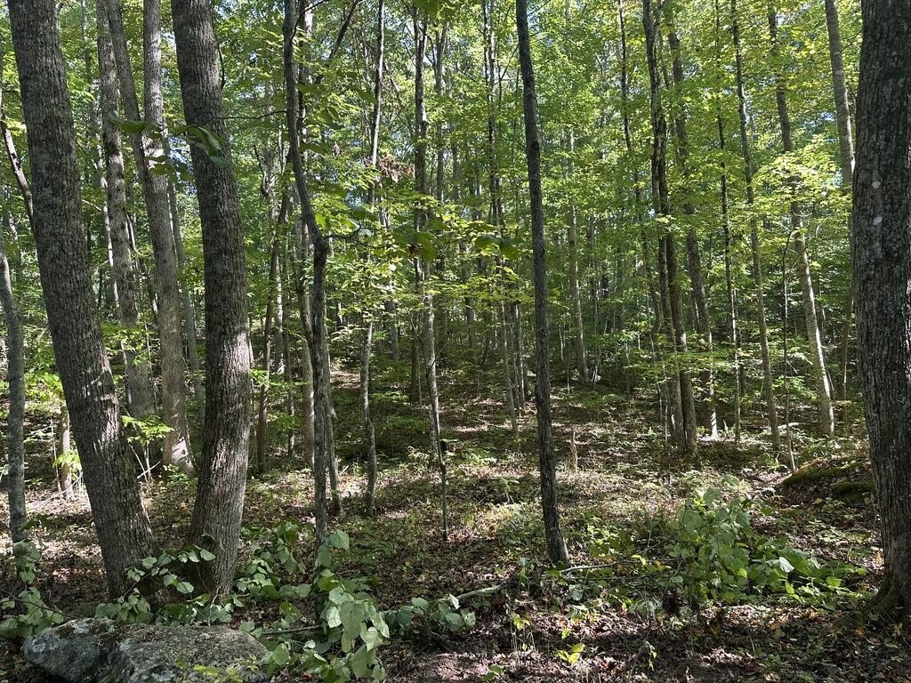 Picture 23