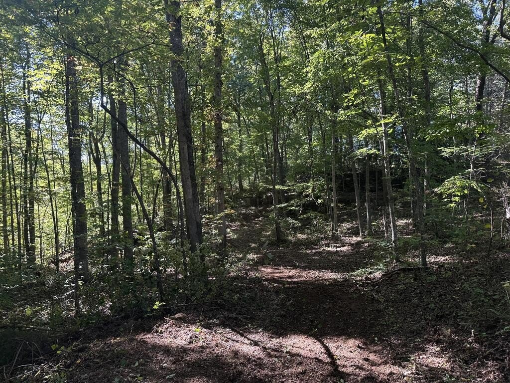 Picture 15