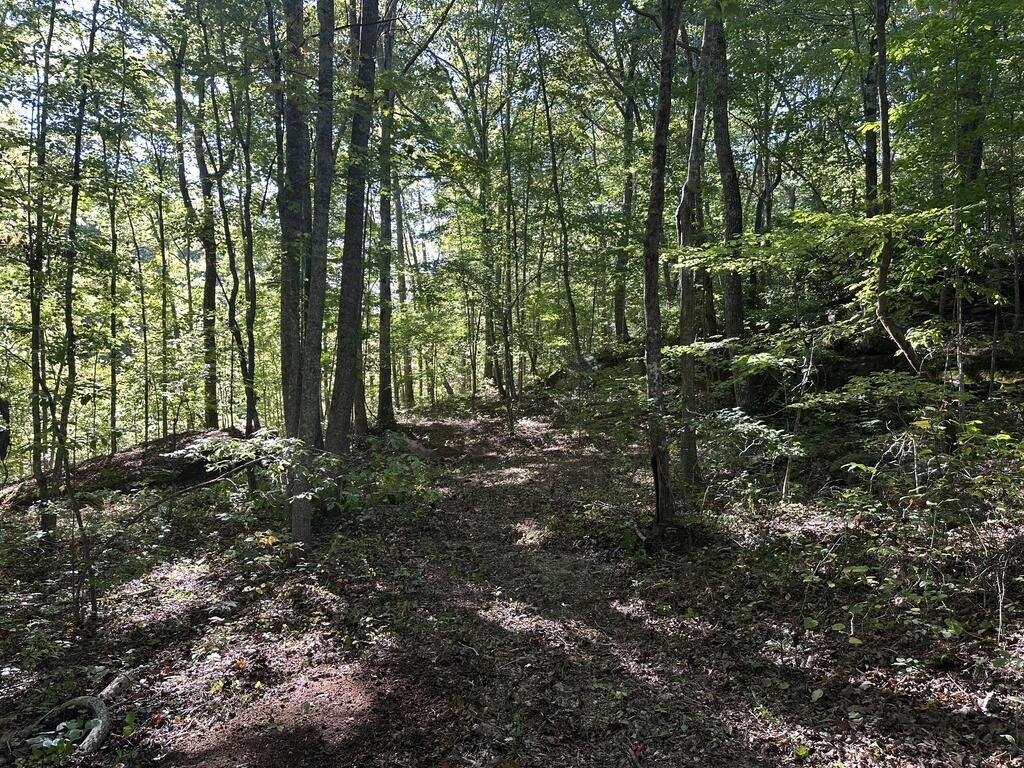 Picture 18