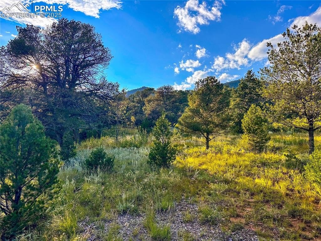 Picturesque Land in Colorado Springs