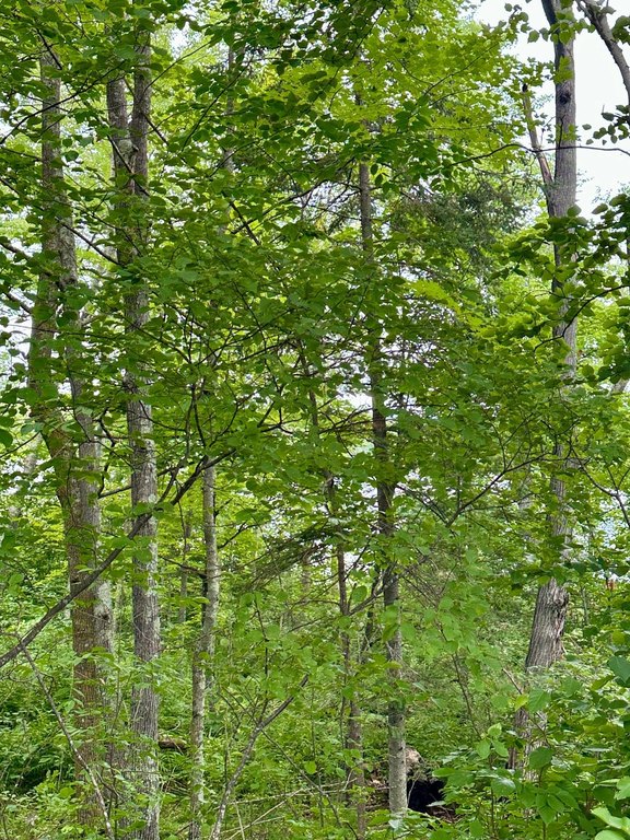 Picture 16