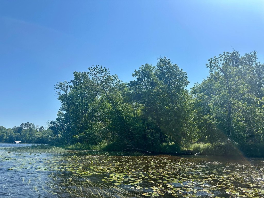 Picture 21