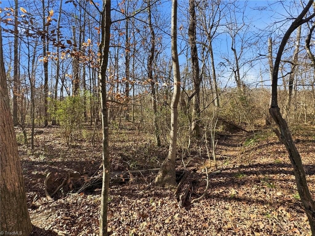 Winston-Salem Land For Sale
