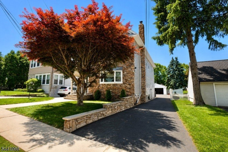 Picture 41