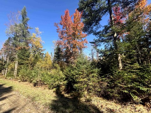 LAND - Brighton, VT