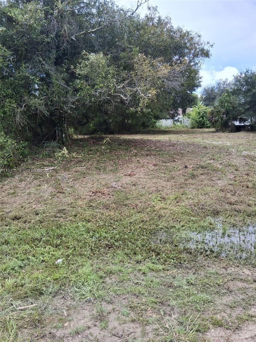 Spacious Lot in Growing Area