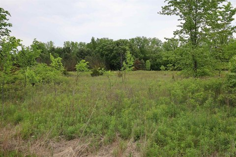 Birch Run Township, MI