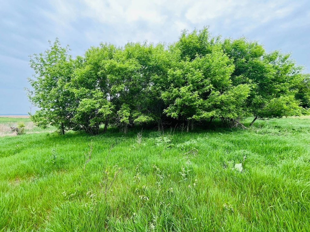 Picture 29