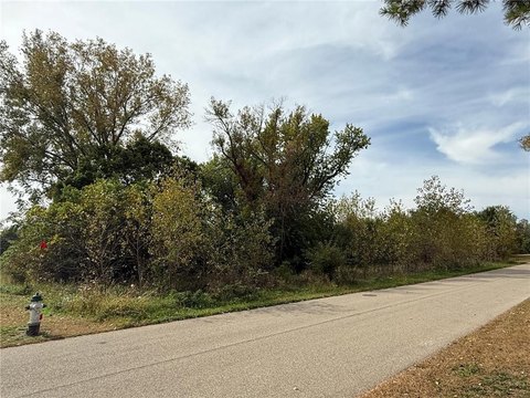 Residential Land in Albert Lea