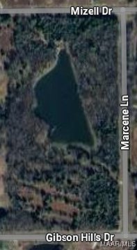 Land with Pond and Homesites