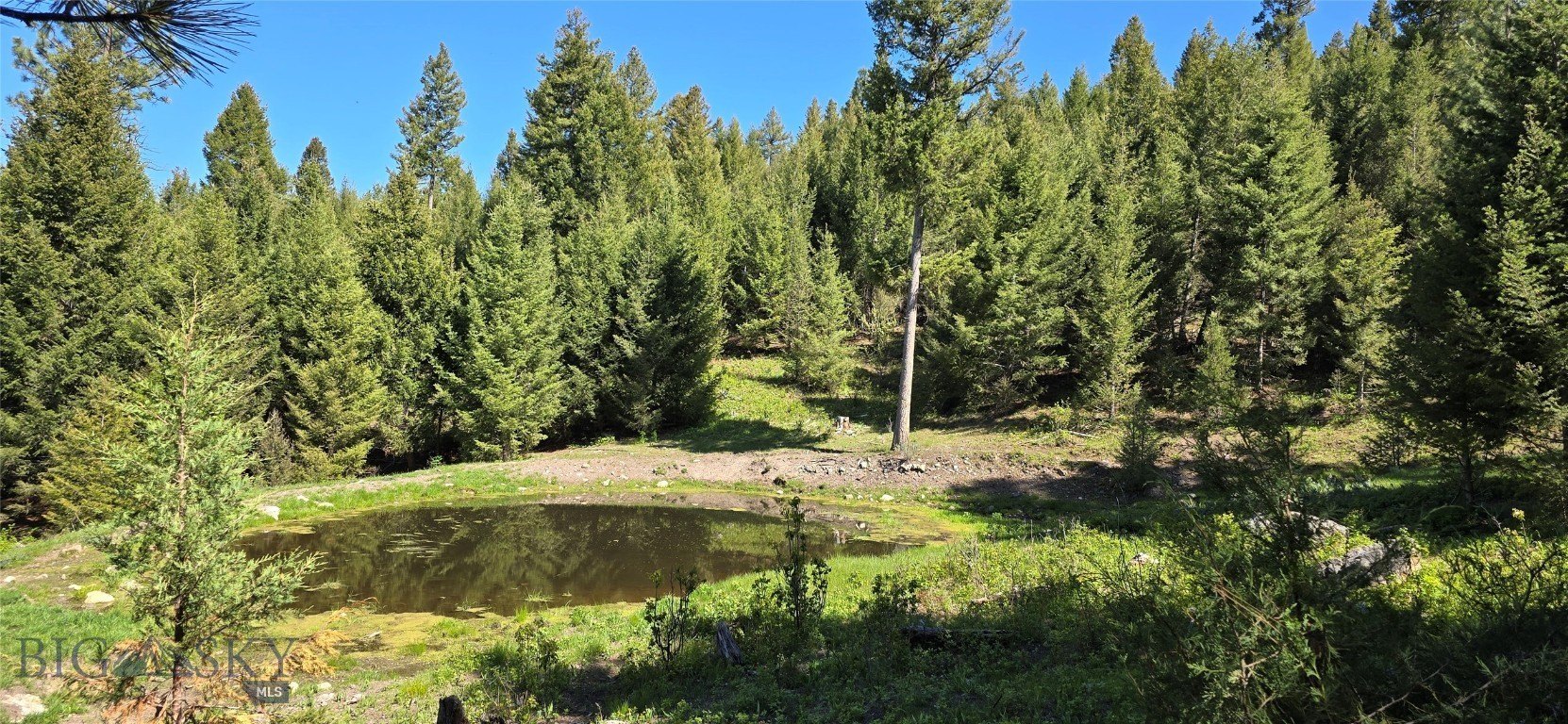 Montana Land with Mountain Views