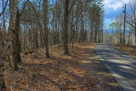 Ellijay Vacant Lot in Timberwalk