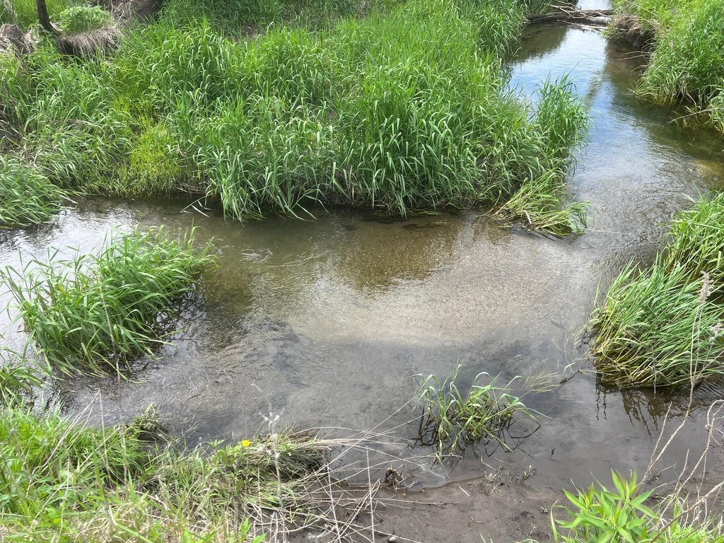 Picture 19