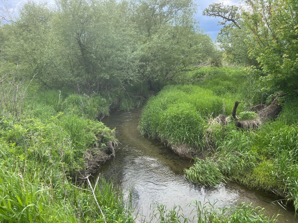 Picture 18