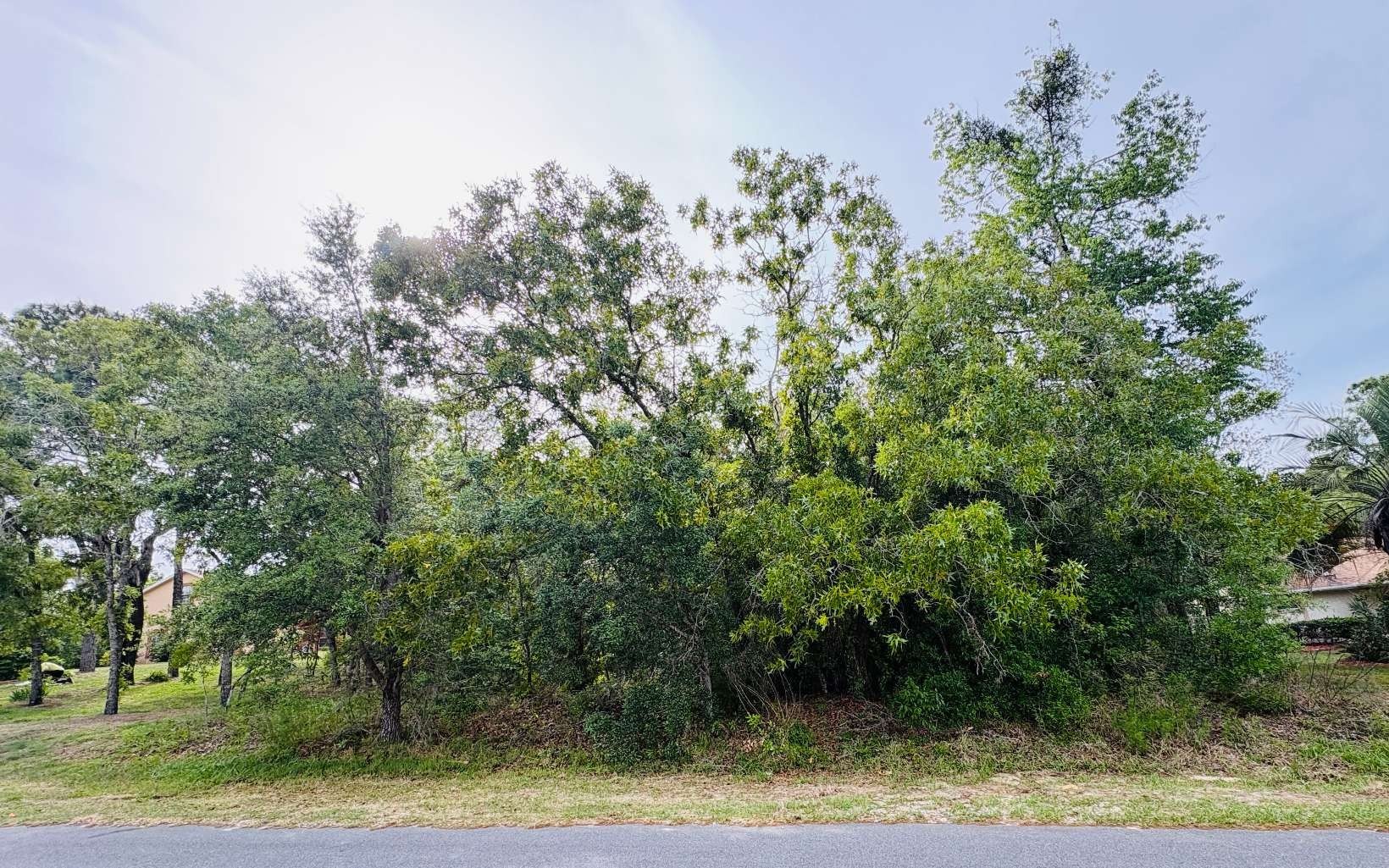 Half-Acre Homesite in Citrus Hills
