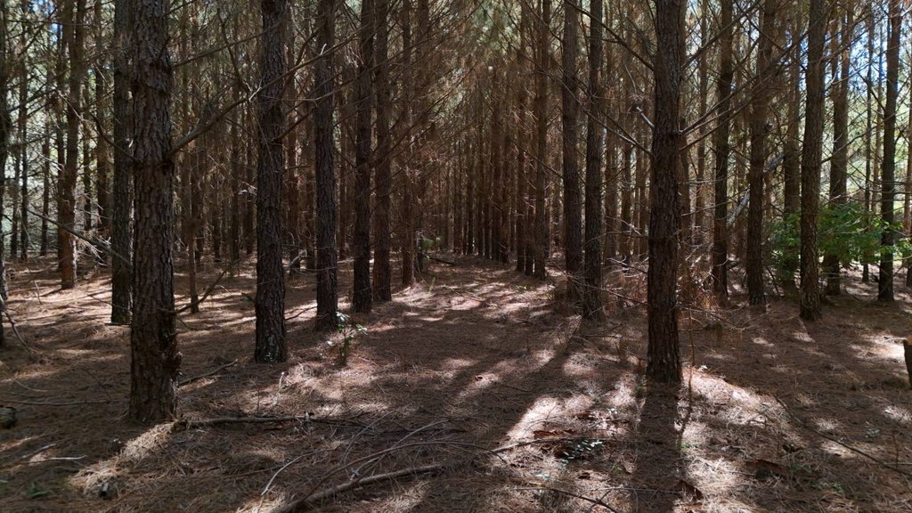 Picture 23
