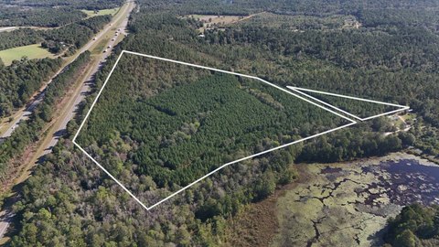 Timber Acreage with I-20 Frontage