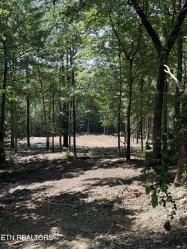 Lots & Acreage, Sevierville, TN