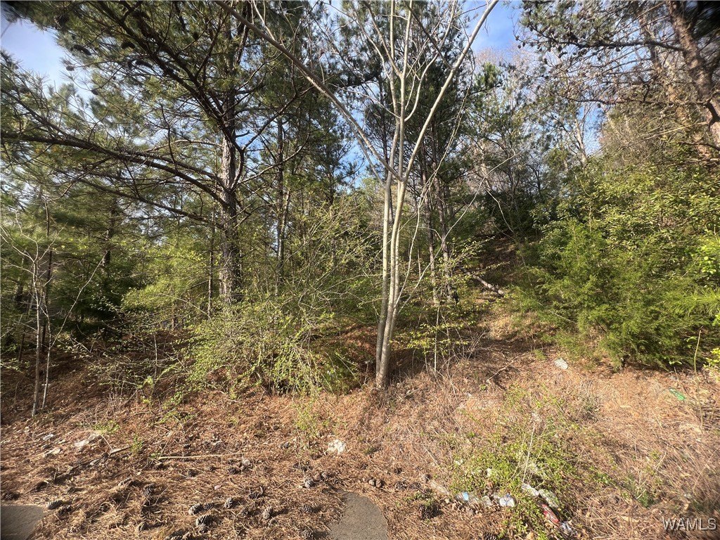 Residential Land in Stone Ridge