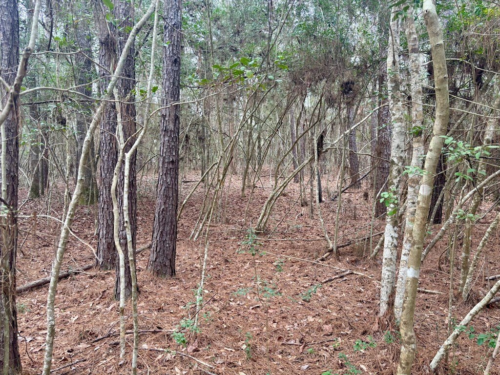Picture 6