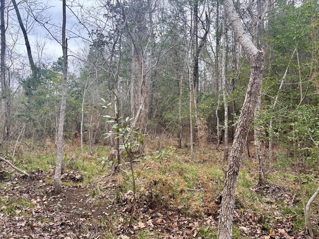 Picture 3