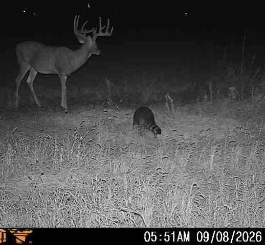 Picture 36
