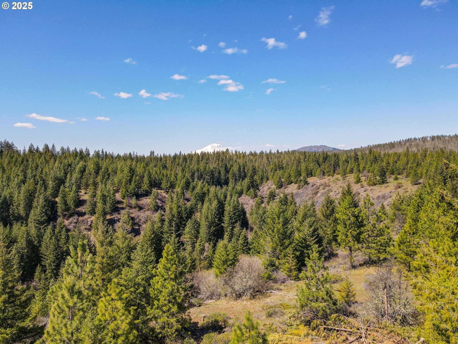 80 Acres Forestland with Creek