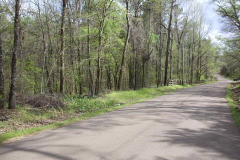 Wooded Homesite Near State Line