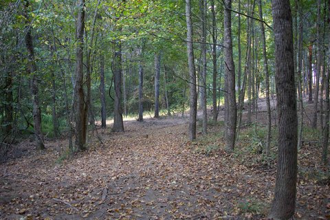 Wooded Homesite Near State Line