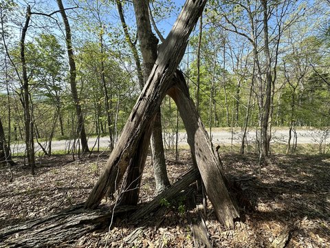 Residential Land in Caldwell, WV