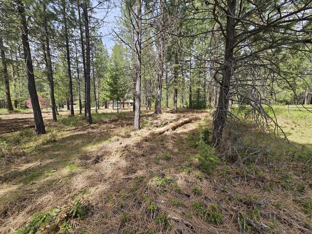 Picture 23