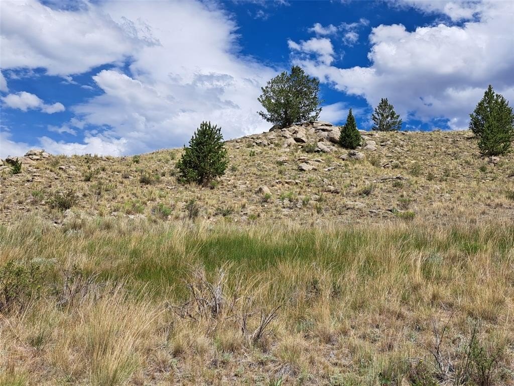 Picture 25