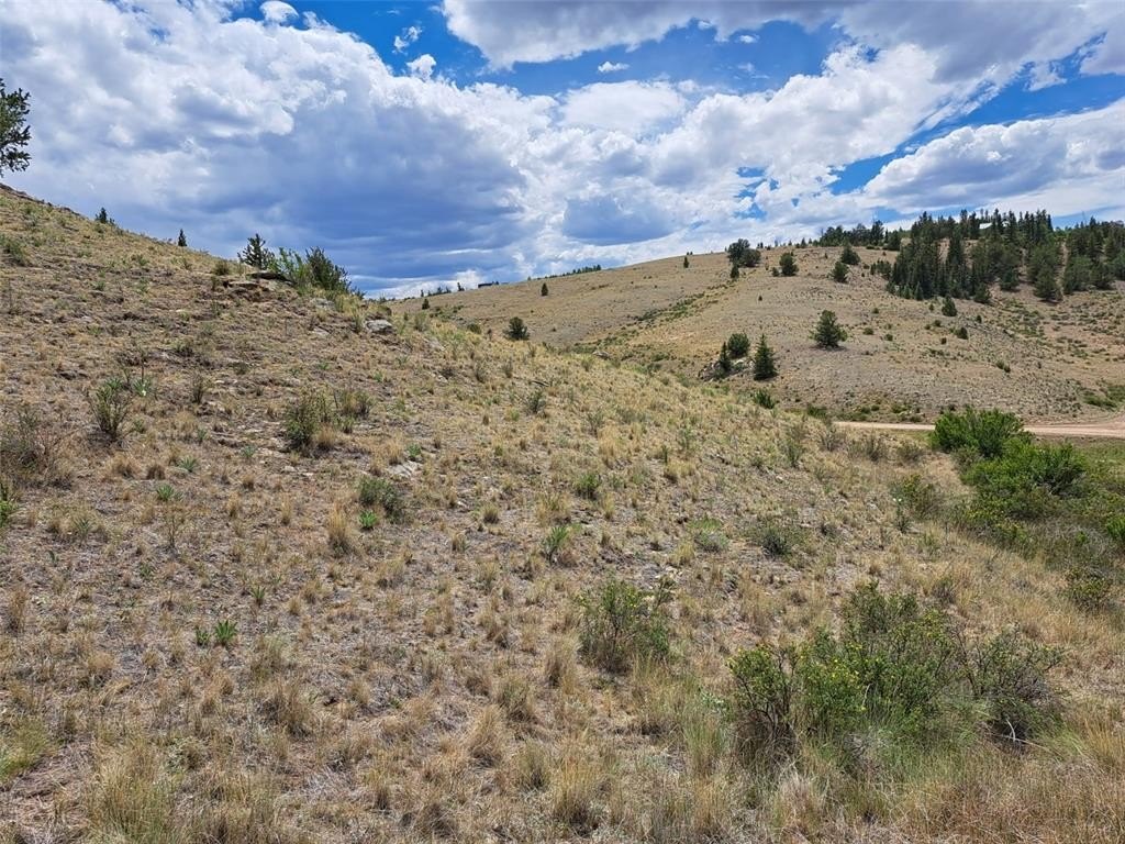 Picture 17