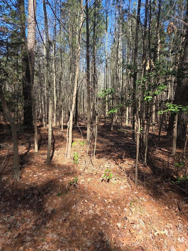 Waterfront Lot in Onancock, VA