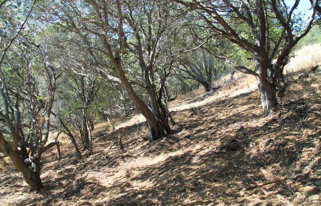 Picture 15