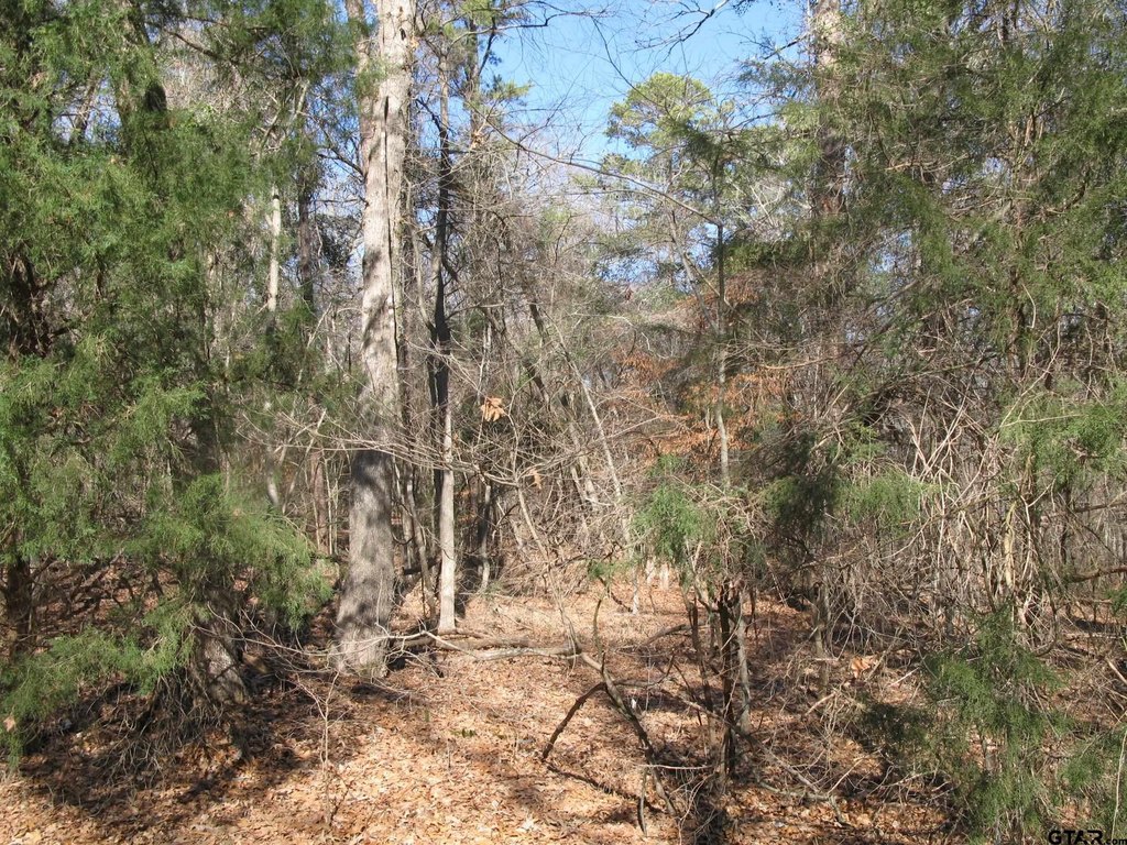Picture 9