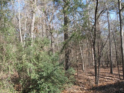 LAND - Tyler, TX