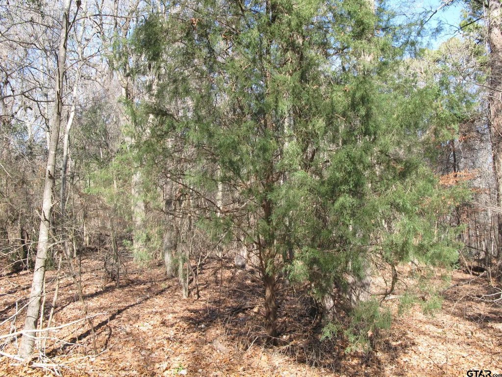 Picture 8