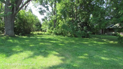 LAND - Saginaw, MI
