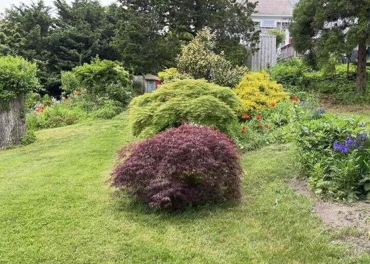 Picture 5