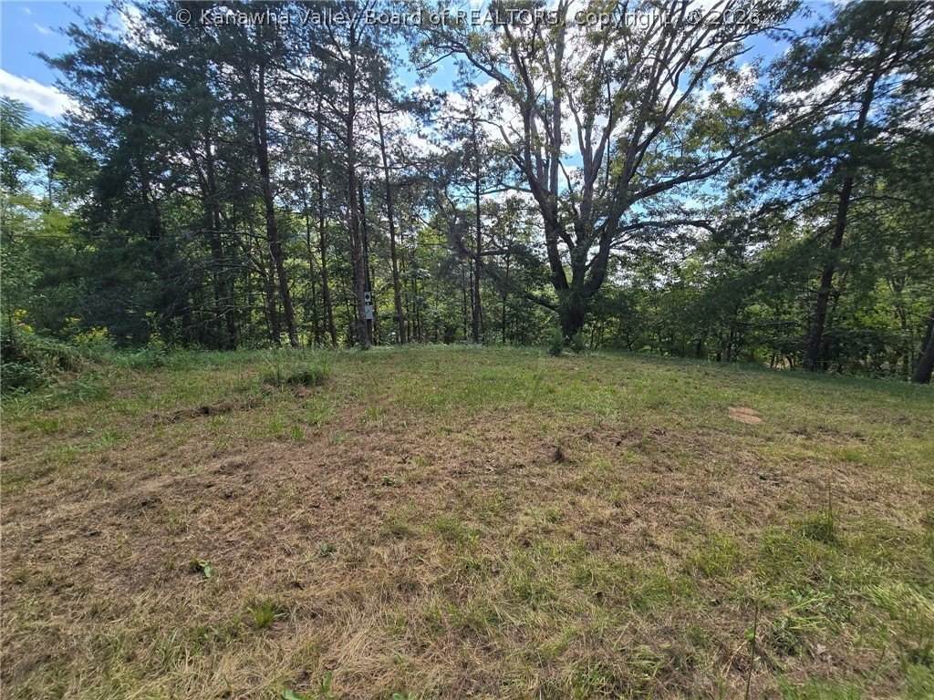 Picture 6
