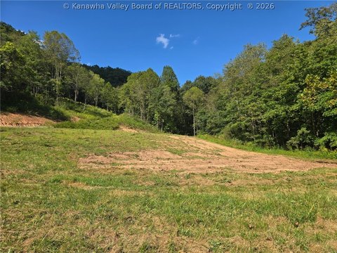 Land, Reedy, WV