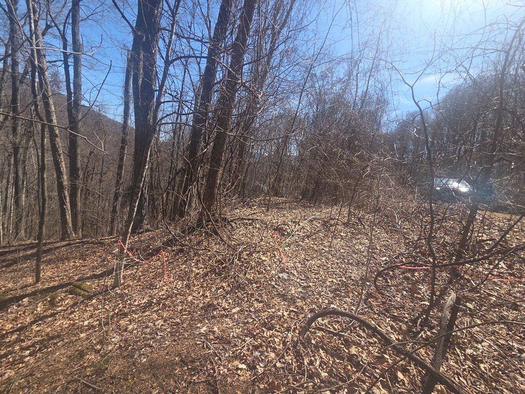 Picture 4