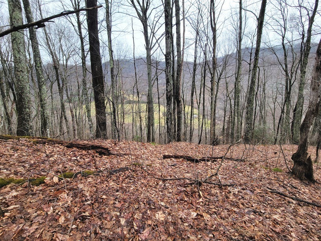 Picture 12