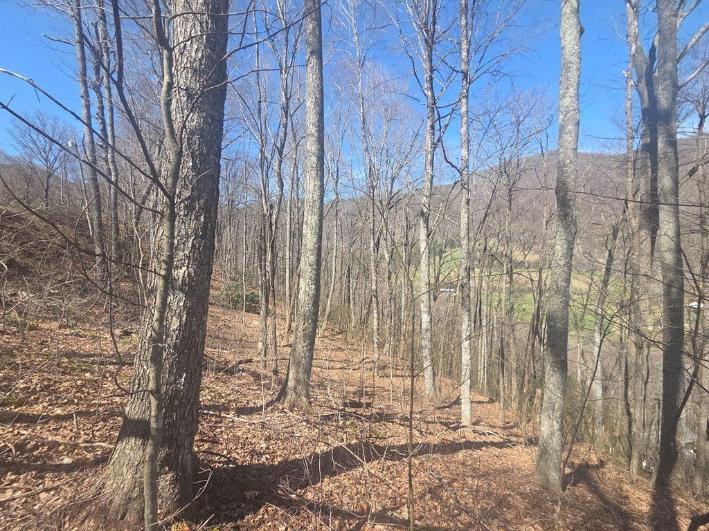 Picture 18
