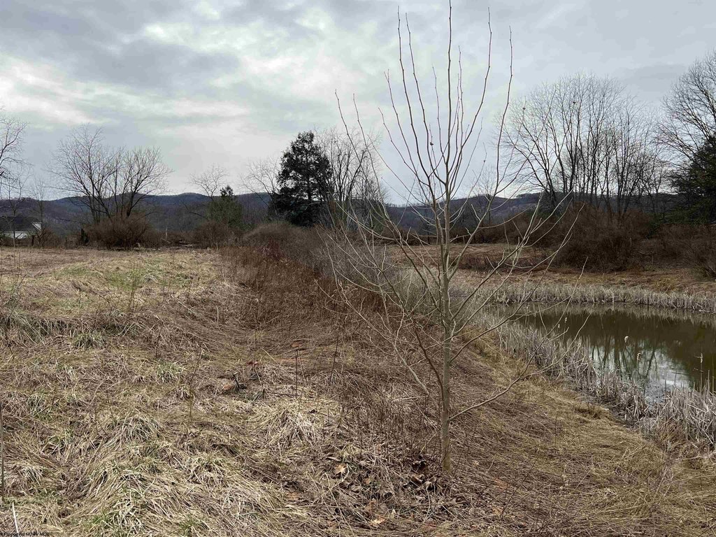 Picture 6