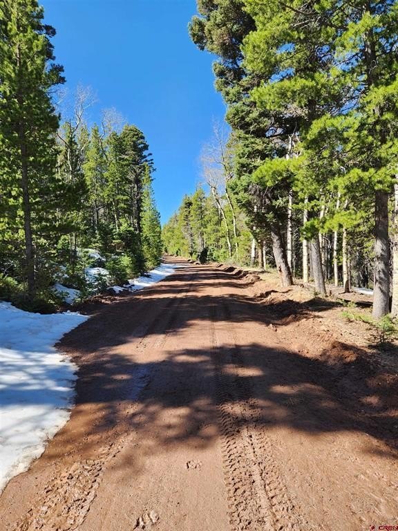 Land in Fort Garland, CO